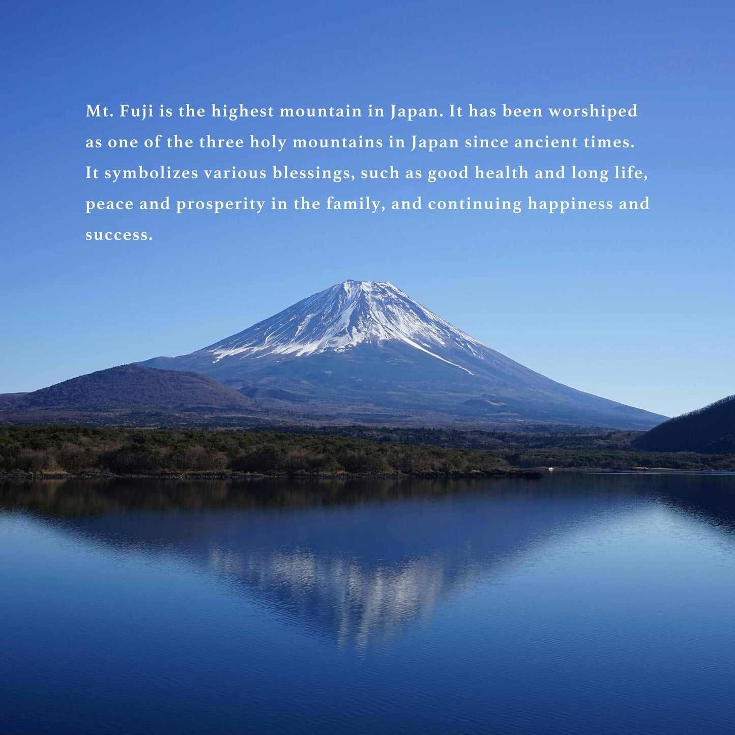 Happiness 富士 <Fuji> small